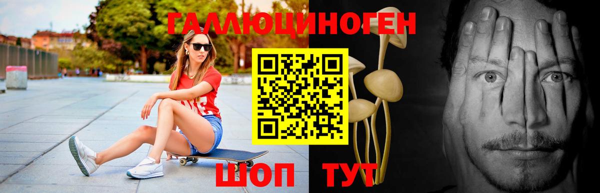 Псилоцибиновые грибы ЛСД Дербент