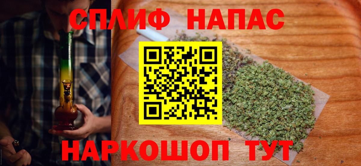 Канабис планчик Дербент